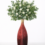 eucalyptus and jasmine bundle