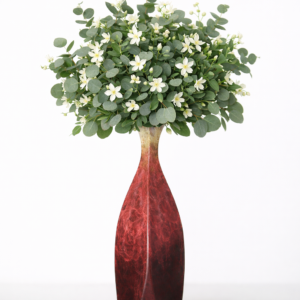 eucalyptus and jasmine bundle